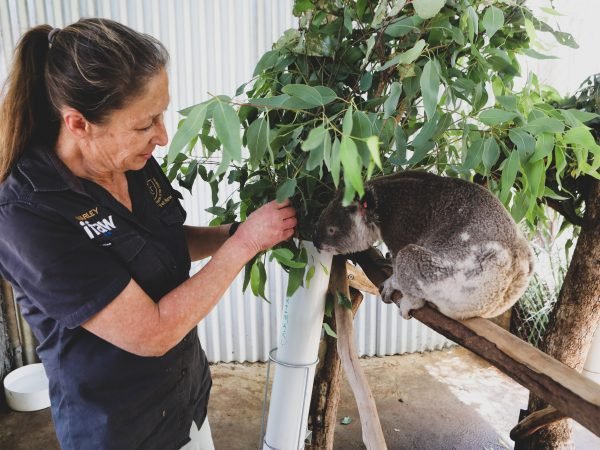 Find a Volunteer Role and more.